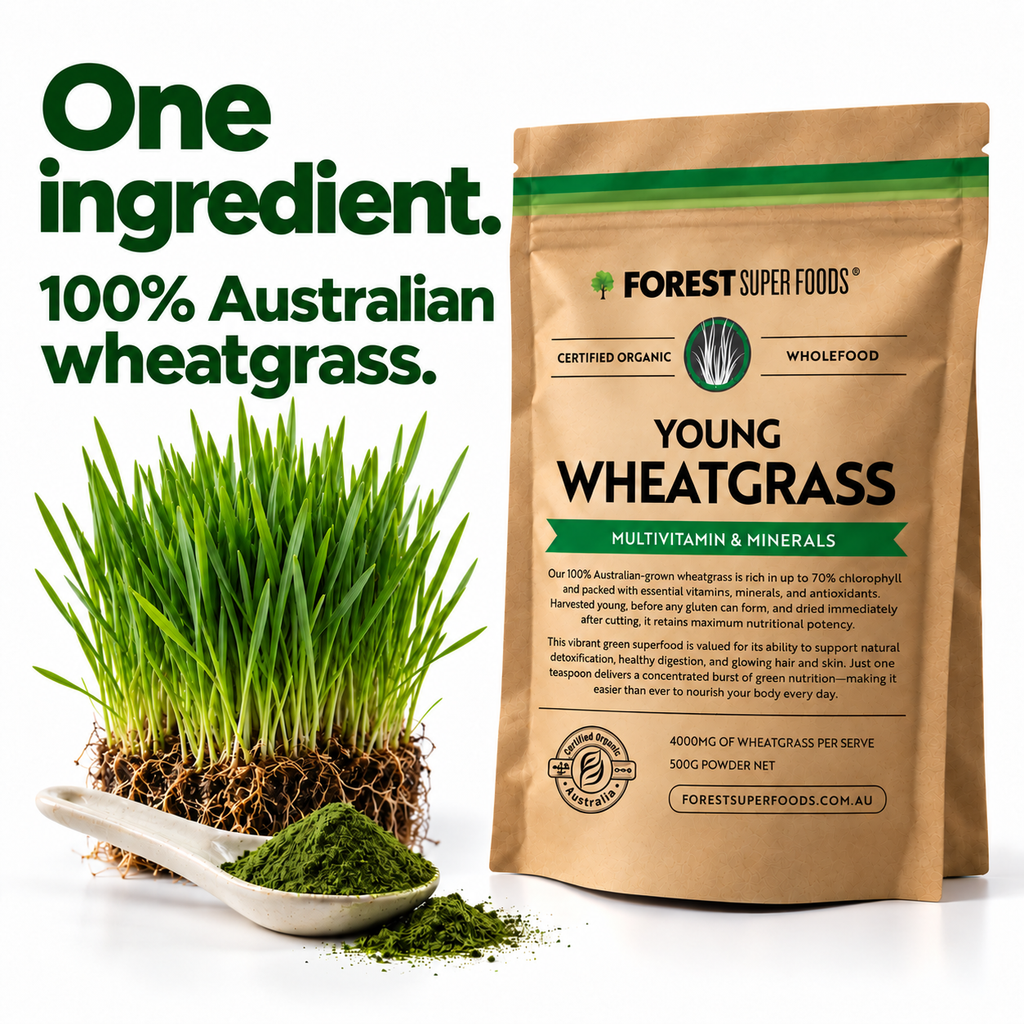 Australian Young Wheatgrass